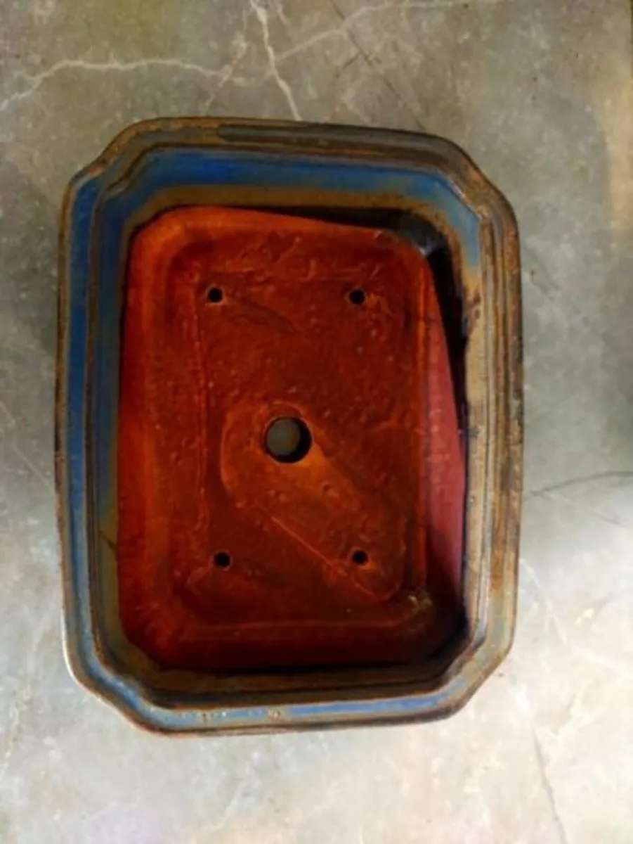 Small Bonsai Pot #8 - Image 2