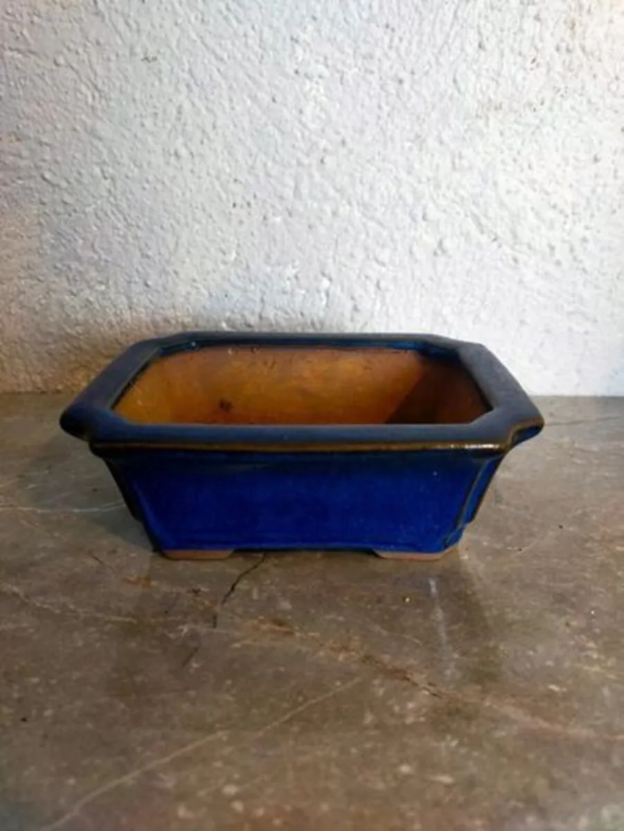 Small Bonsai Pot #6 - Image 1