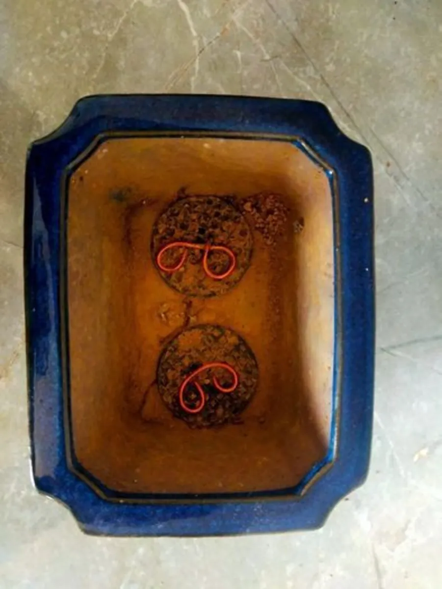 Small Bonsai Pot #6 - Image 2