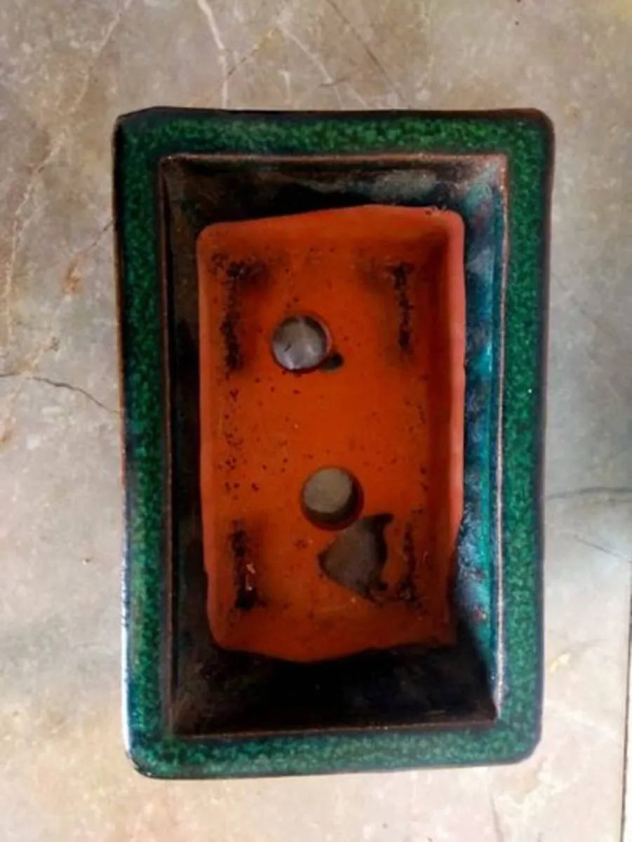 Small Bonsai Pot #5 - Image 1
