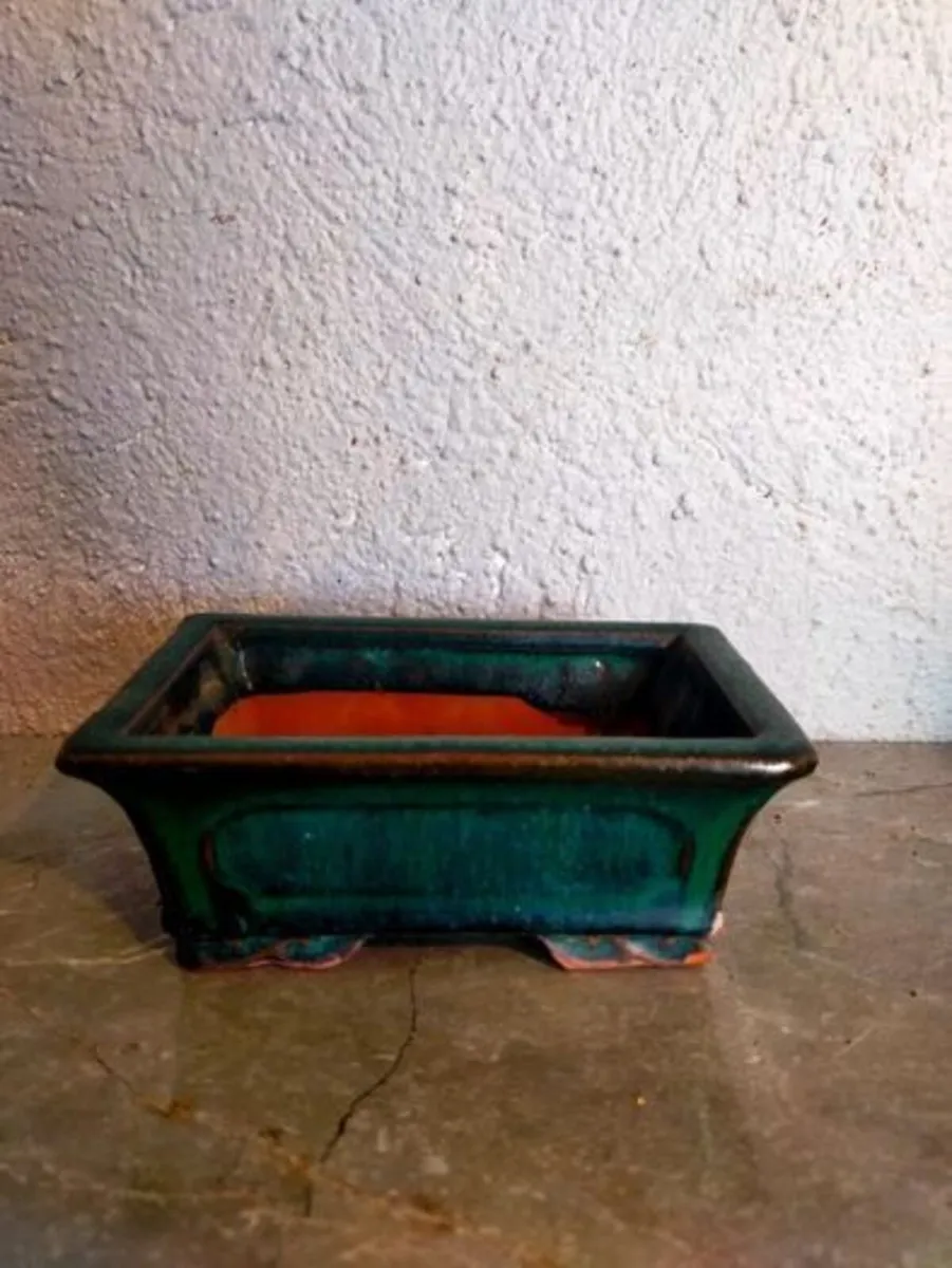 Small Bonsai Pot #5 - Image 2