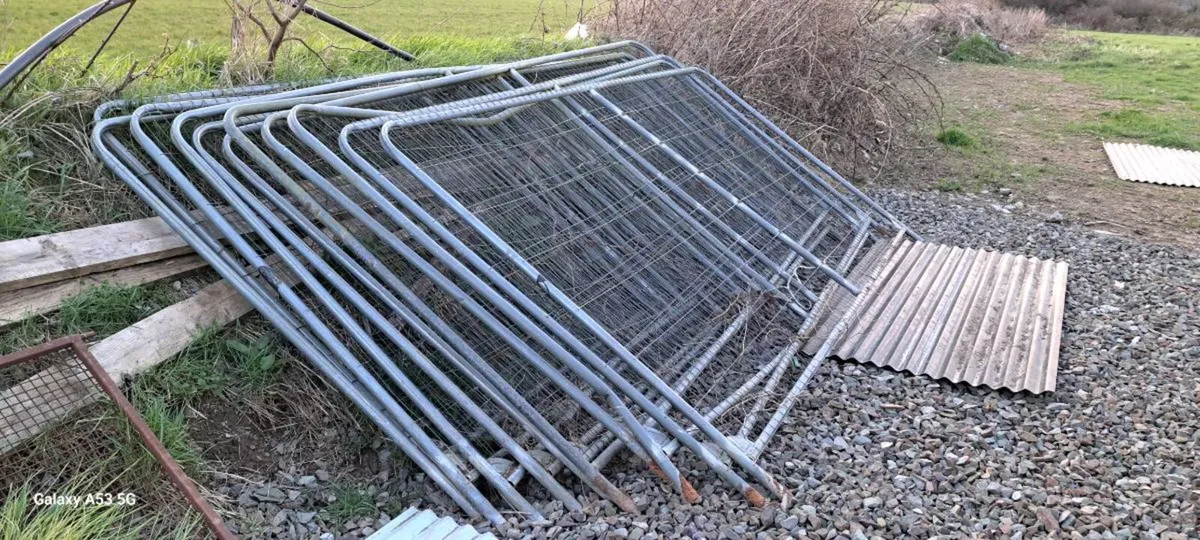 Harris fencing - Image 1