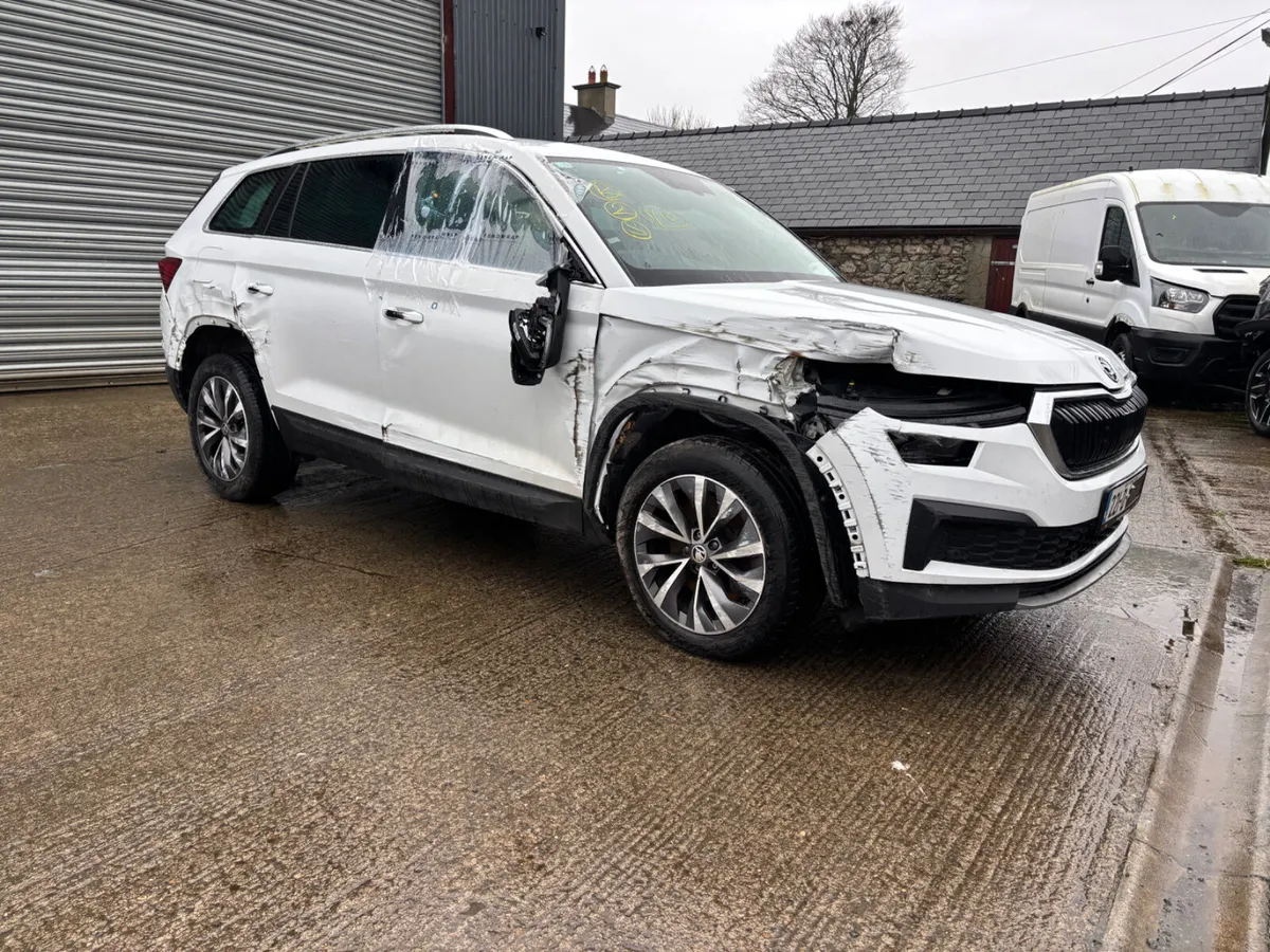Skoda Kodiaq 7 seater - Image 1