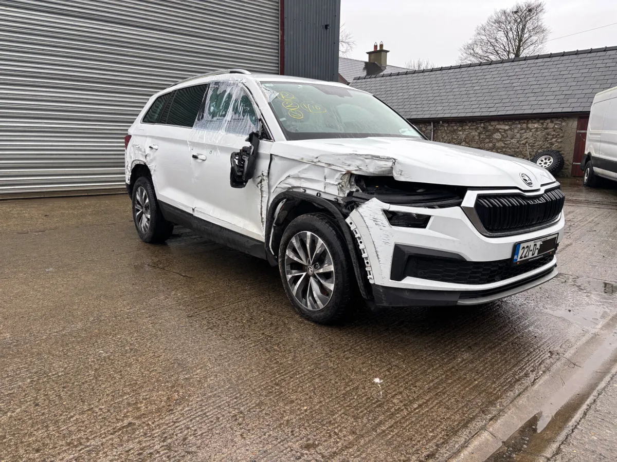 Skoda Kodiaq 7 seater - Image 2