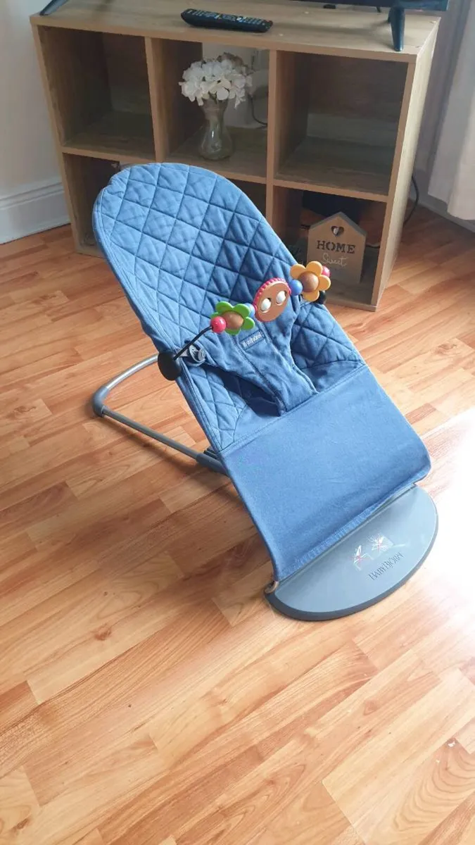Baby bjorn bouncer