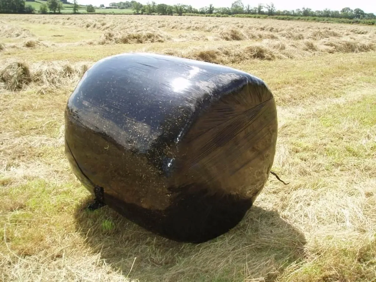 Round Bales Silage
