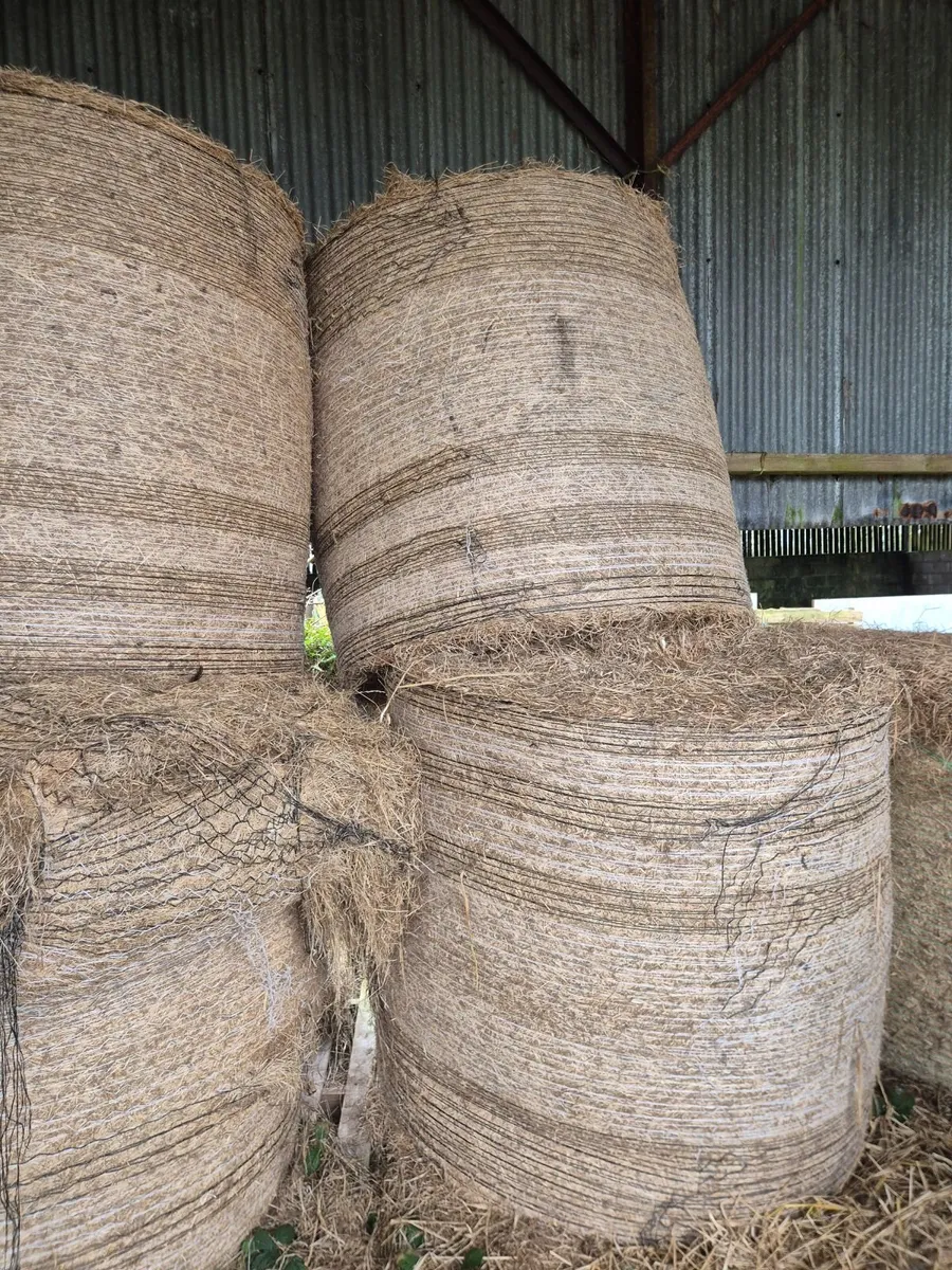 Round Bales of Hay - Image 2