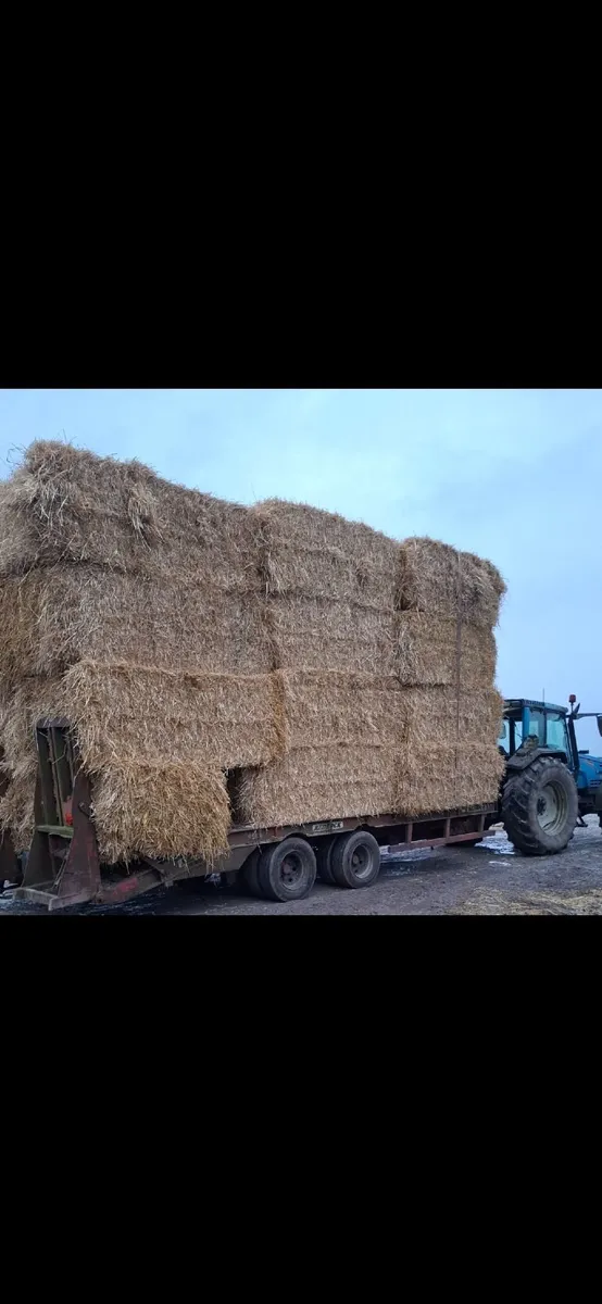 Tractor trailer loads of barley straw delivered
