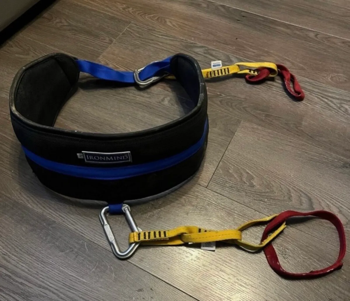 Rare: iron minds super squats hip belt - Image 4