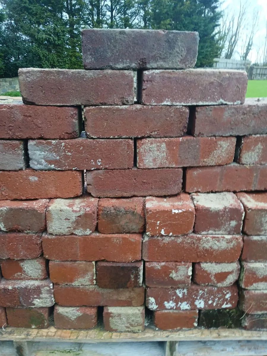 Bricks - Image 1