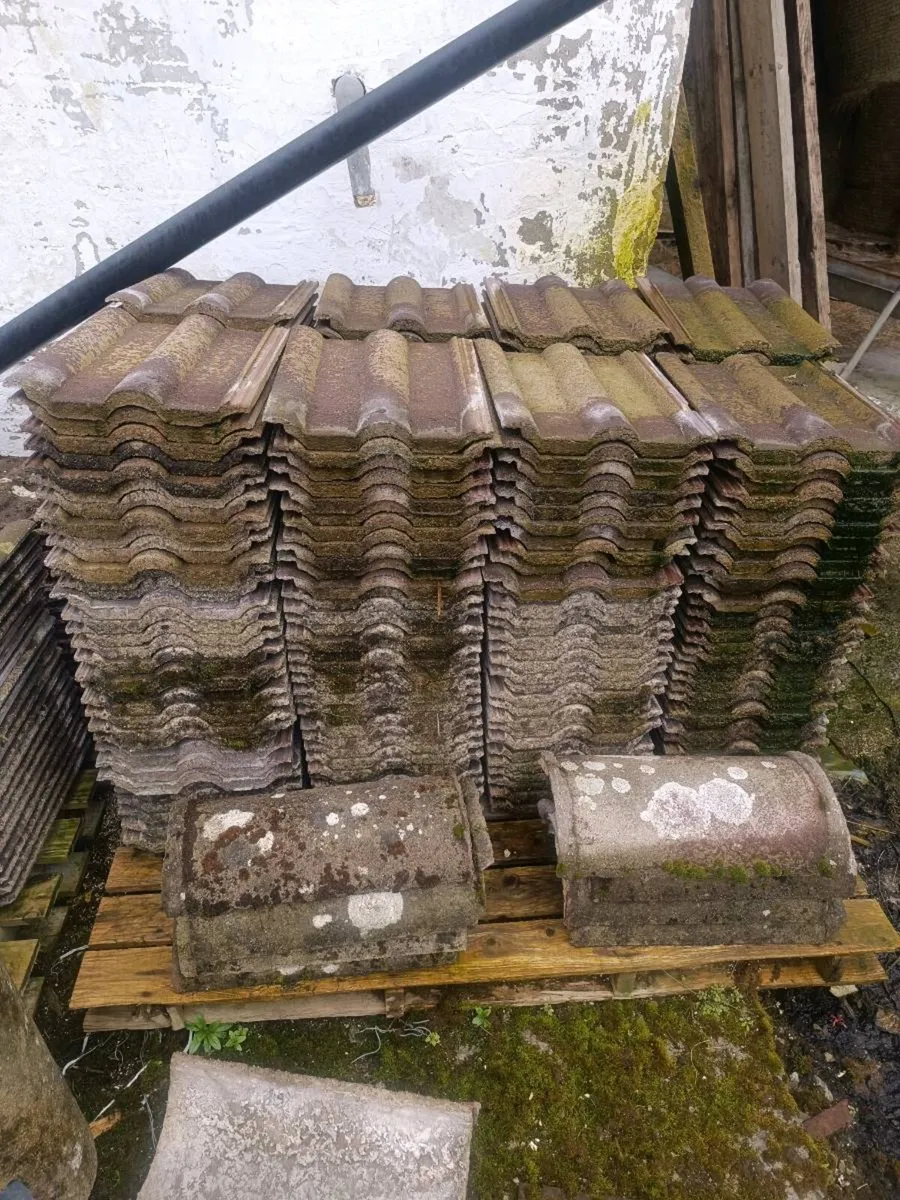 Roof tiles - Image 1