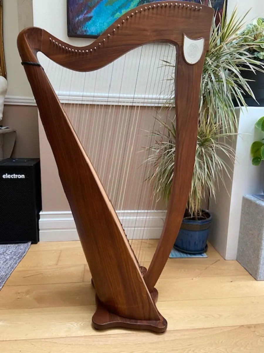 Muzikkon Mchugh Ayra Harp 38 sting SALE - Image 3