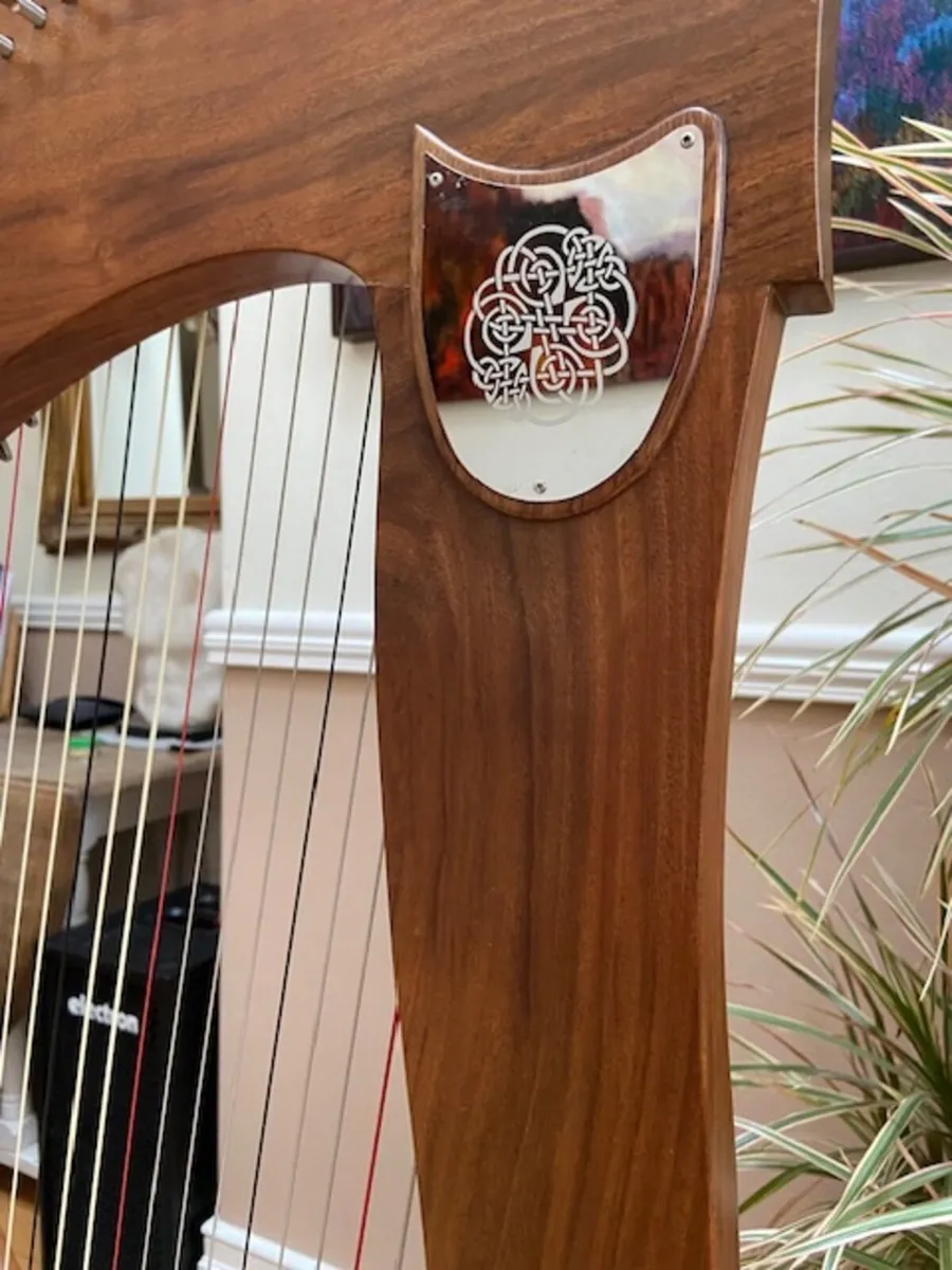 Muzikkon Mchugh Ayra Harp 38 sting SALE - Image 4