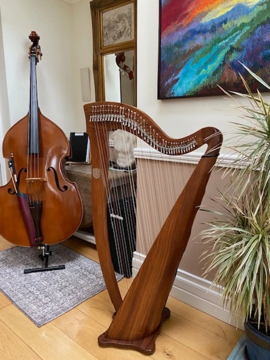 Muzikkon Mchugh Ayra Harp 38 sting SALE - Image 1