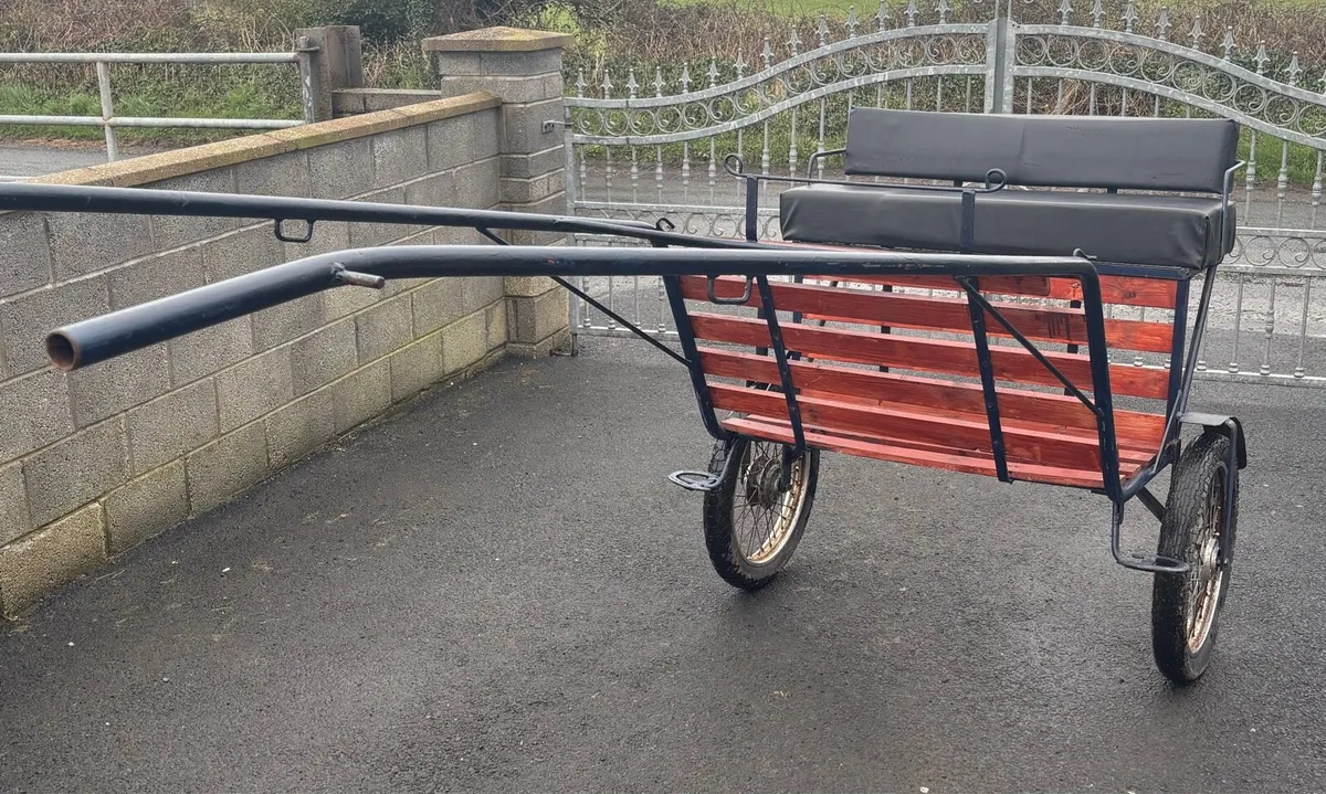 Full size Duhig road cart - Image 2
