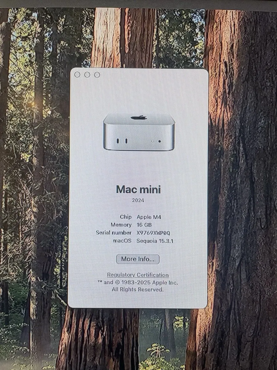 Apple Mac Mini M4 2024 16gb Ram 512gb - Image 3