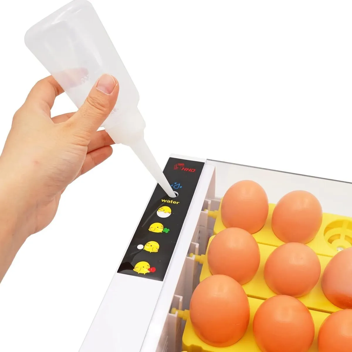 24 Egg Incubator Automatic Temperature Control - Image 2