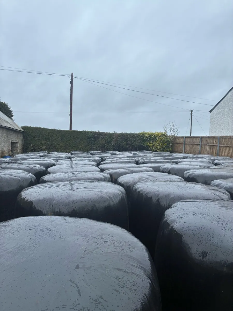 Silage bales - Image 2