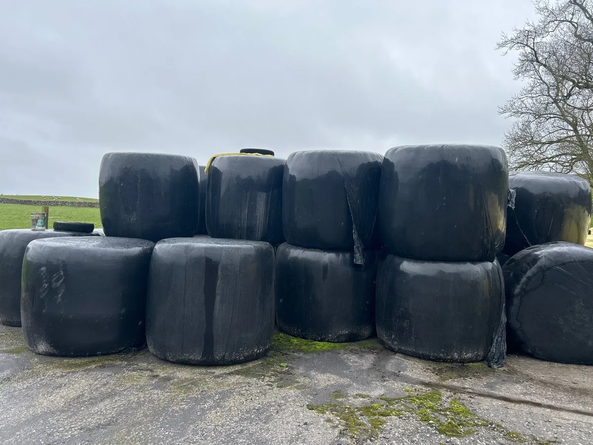 Bales of Silage