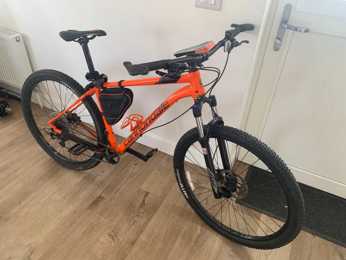 Bicycle Trail Connondale - Image 4