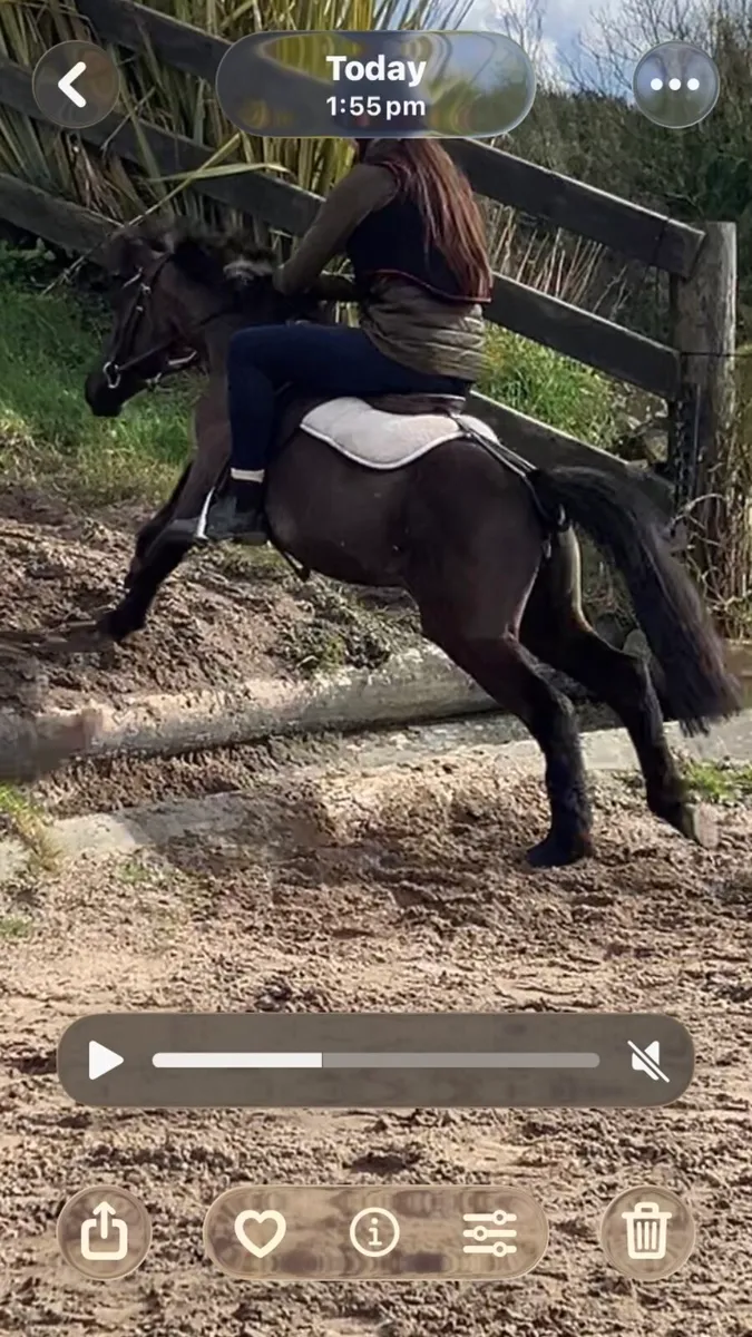 Pony quiet child’s - Image 2