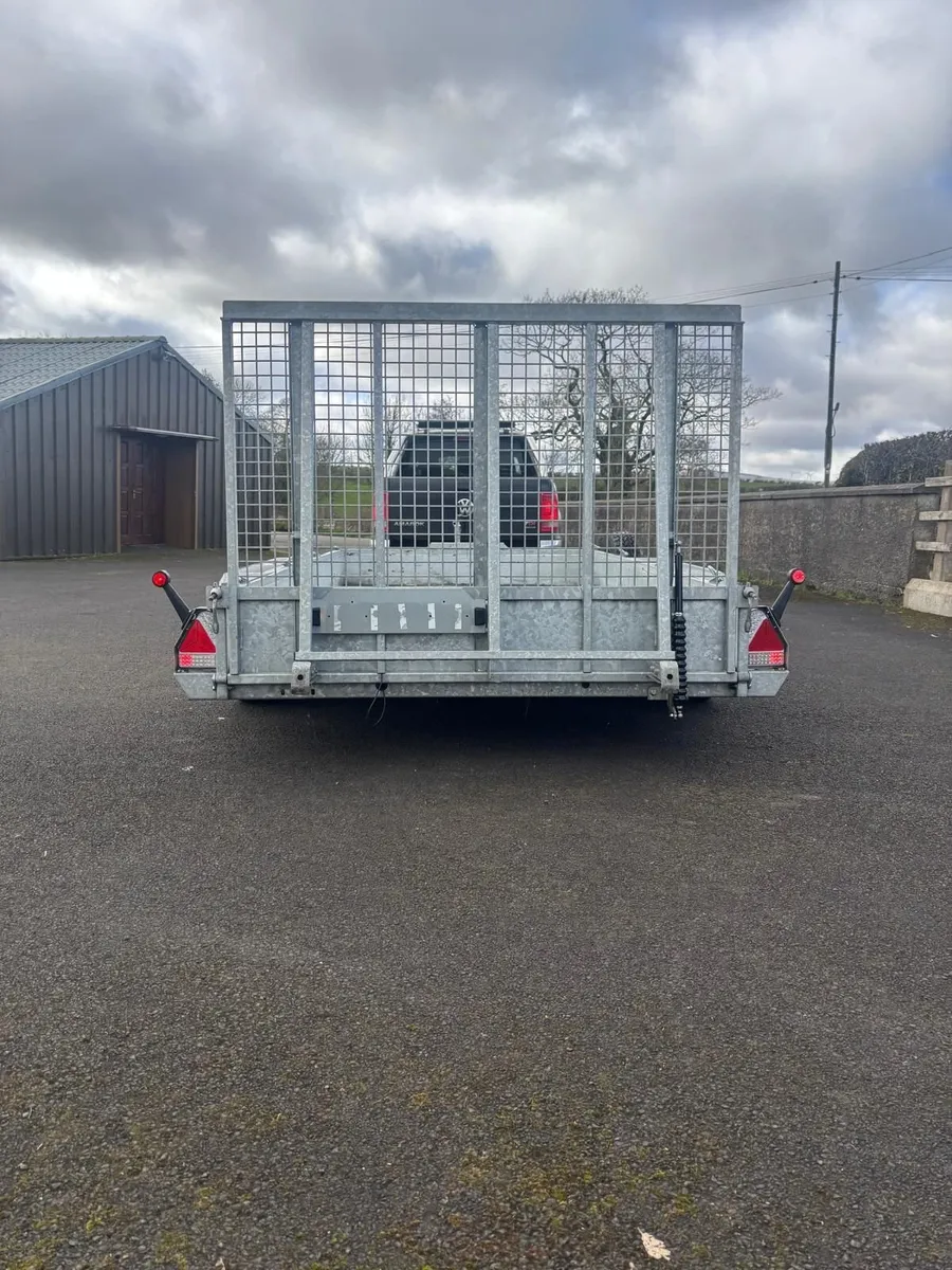 Nugent 12ft plant trailer - Image 3