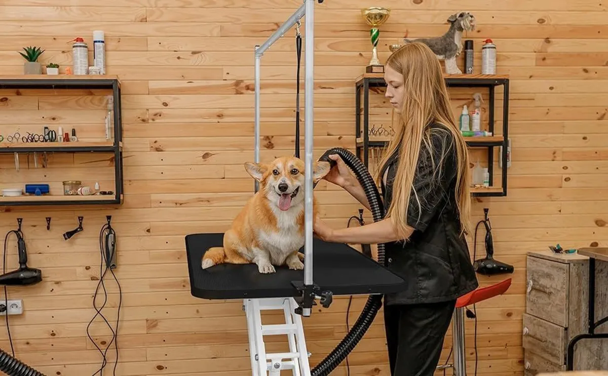 Dog Grooming Table Hydraulic ..Free Delivery - Image 4