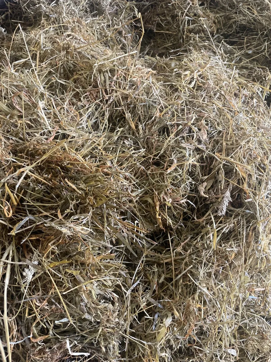 Hay and Silage For Sale - Image 3