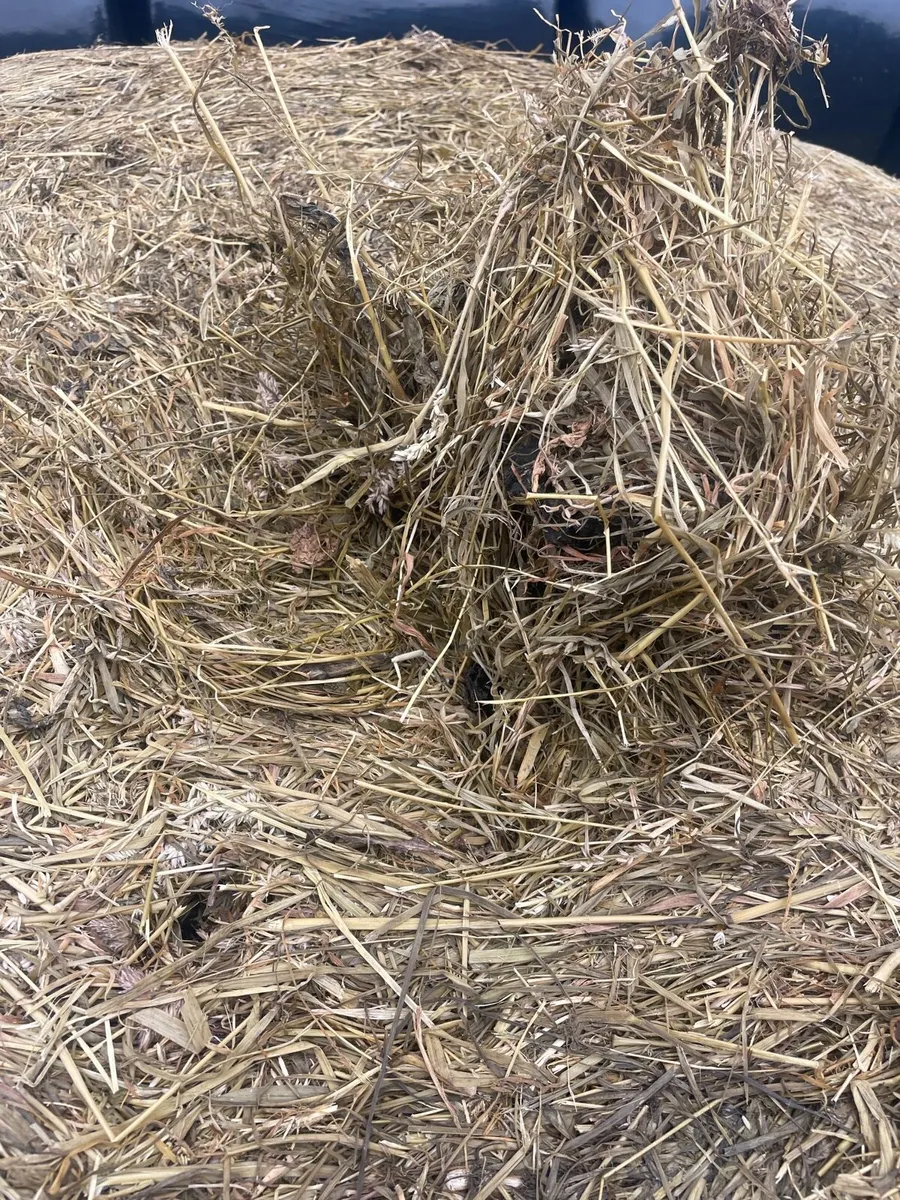 Hay and Silage For Sale - Image 4