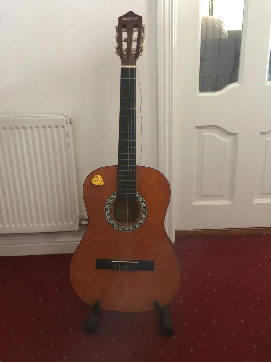 Elevation 6 string nylon acoustic