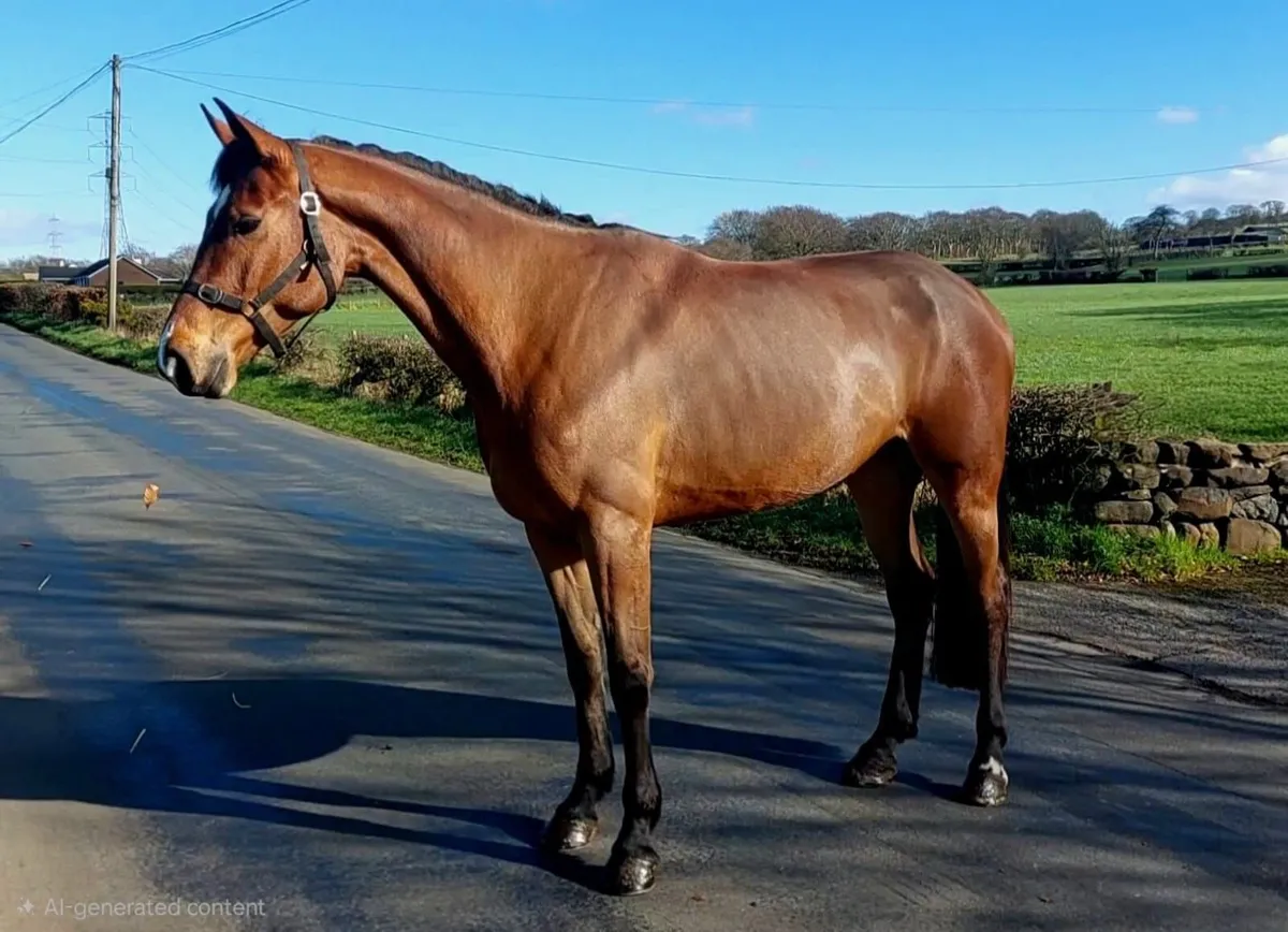 Top Quality Prospect - Image 3