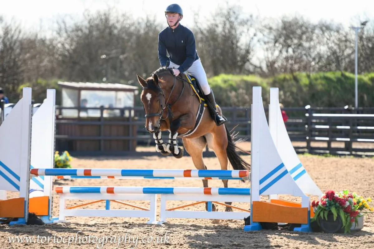 Top Quality Prospect - Image 4