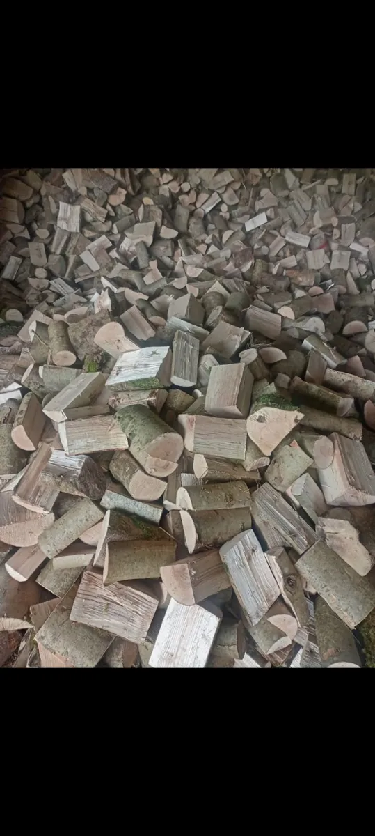 Hardwood firewood 🔥 - Image 1
