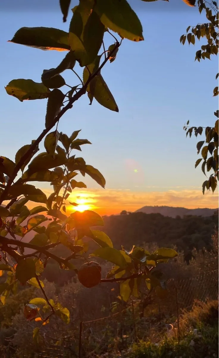 Holiday home - Image 2