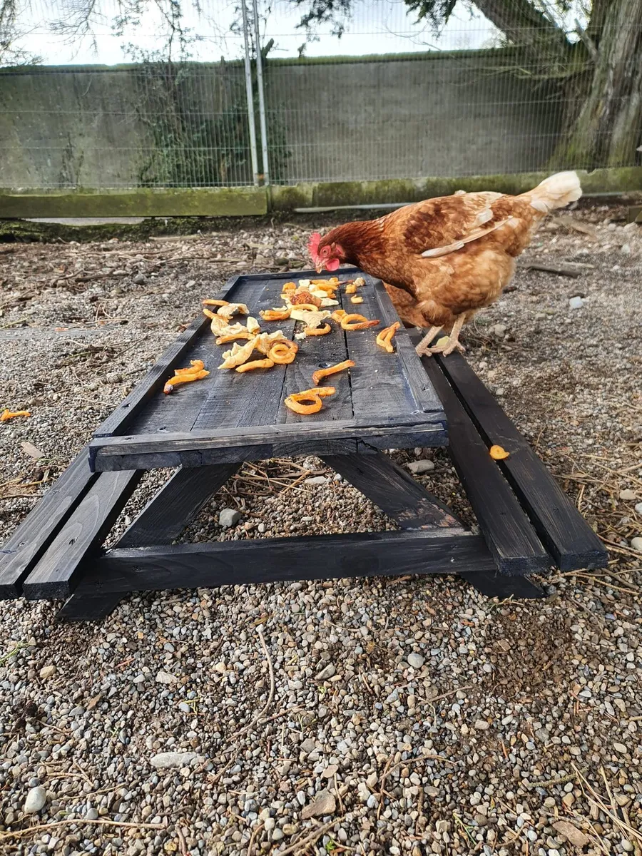 Chicken picnic bench