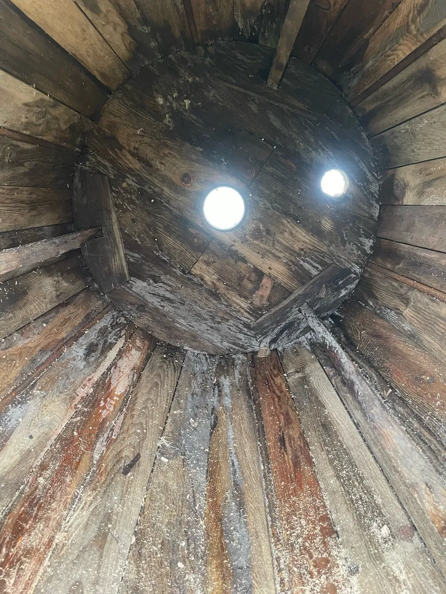 Dog house/ chicken coup/ pet - Image 2