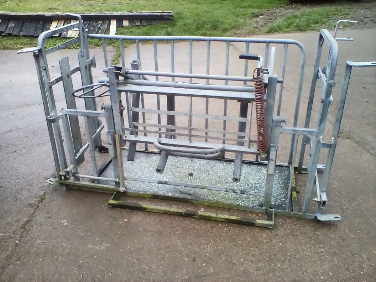 Sheep items - Image 4