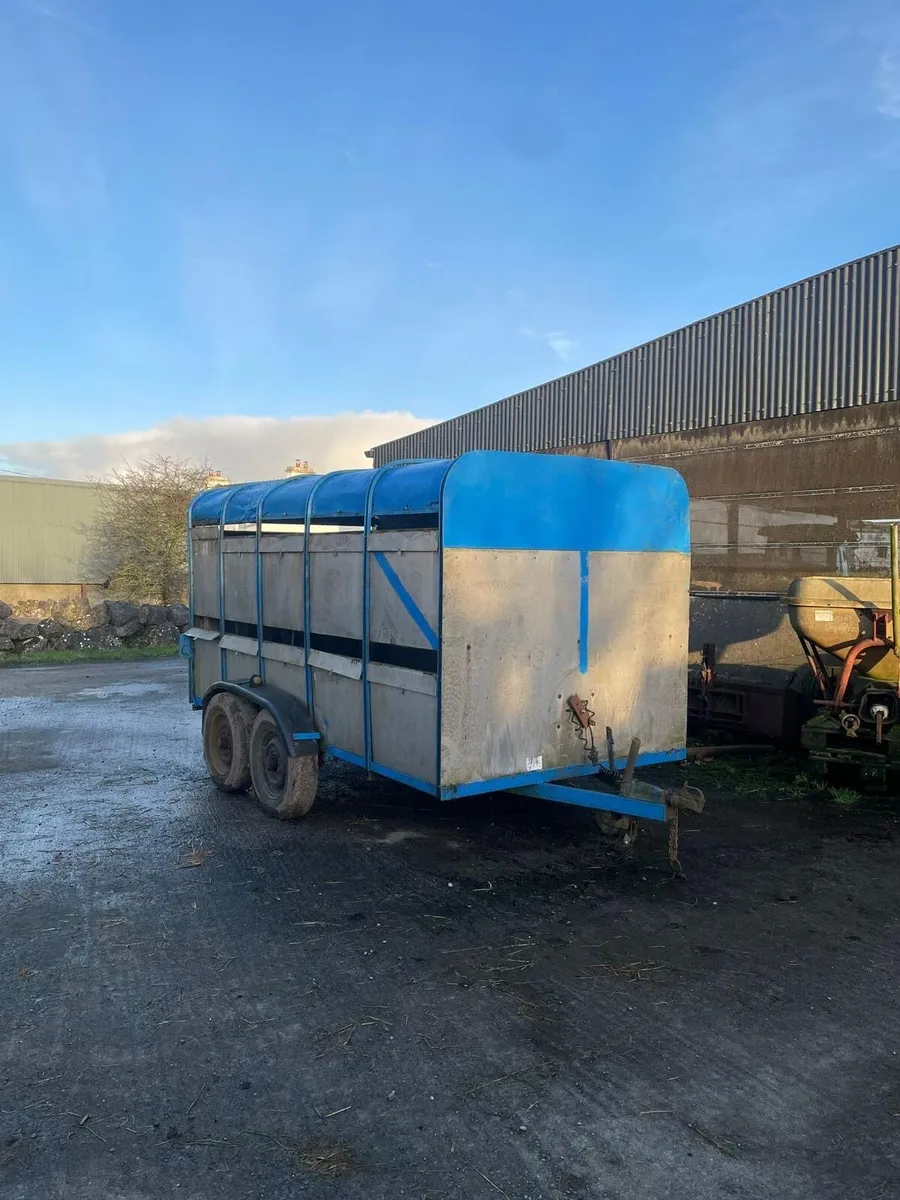 12x6 Sheep & Cattle Trailer