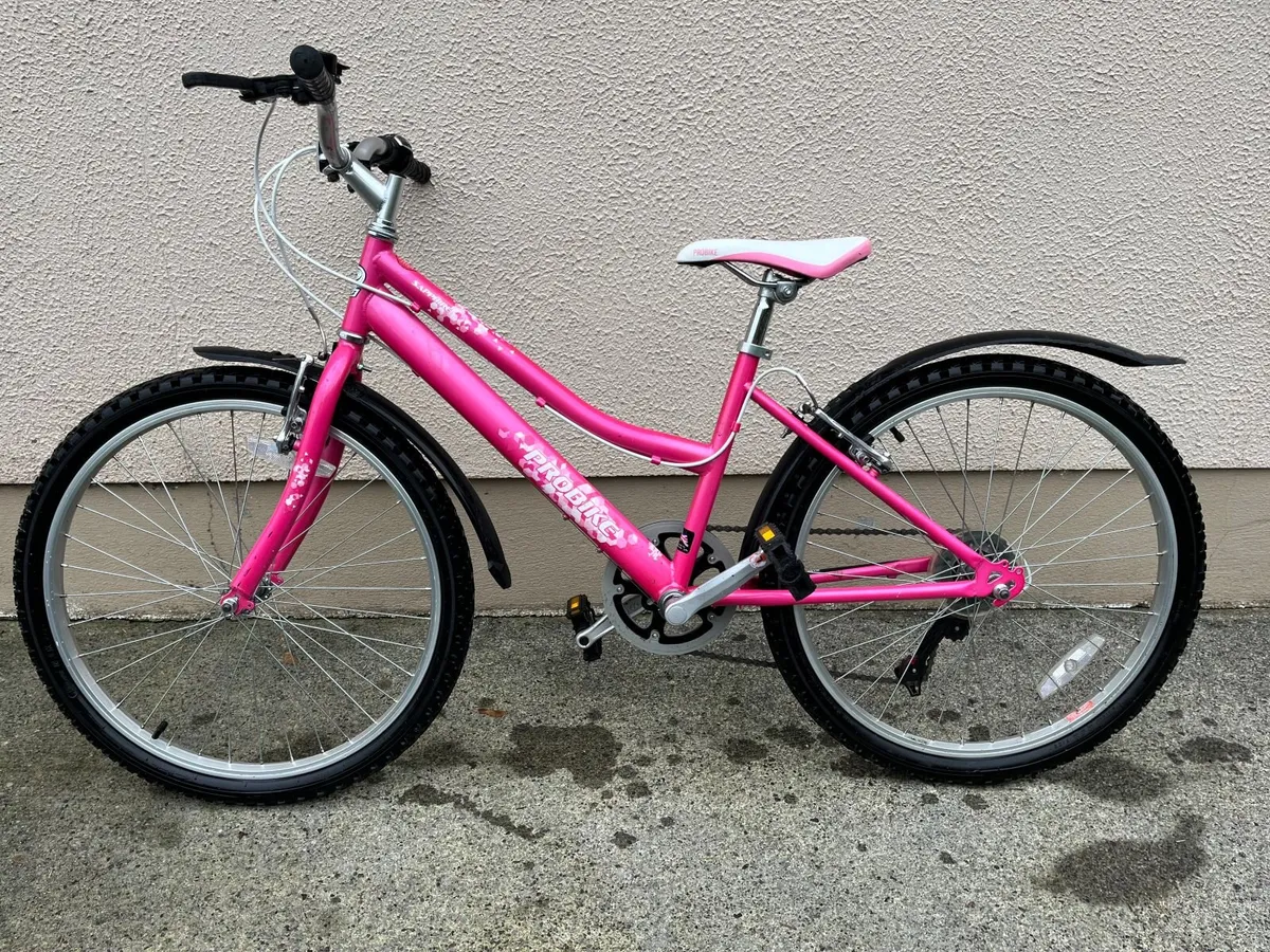 Girls Bicycle - Image 1