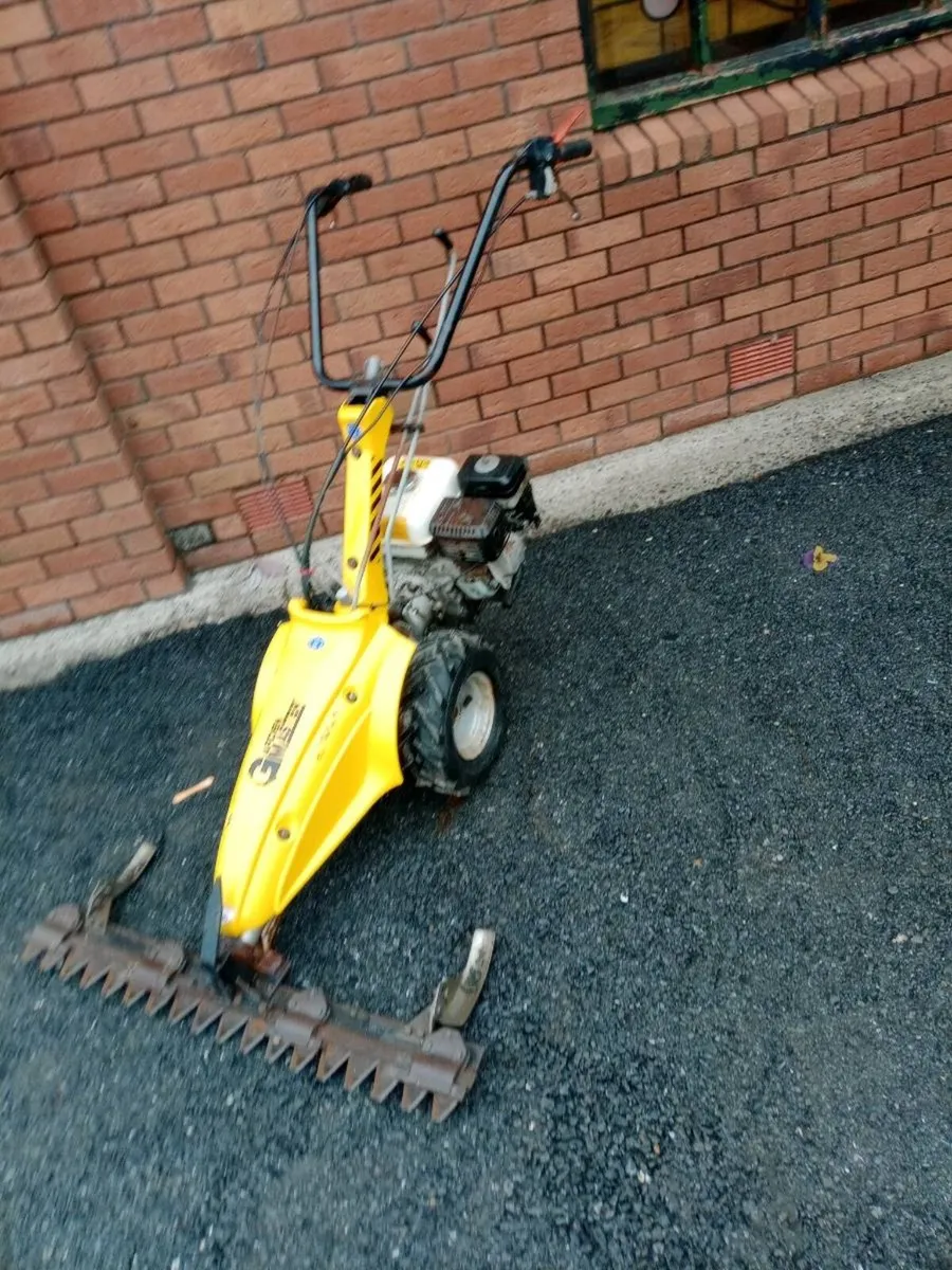 Garden equipment - Image 1