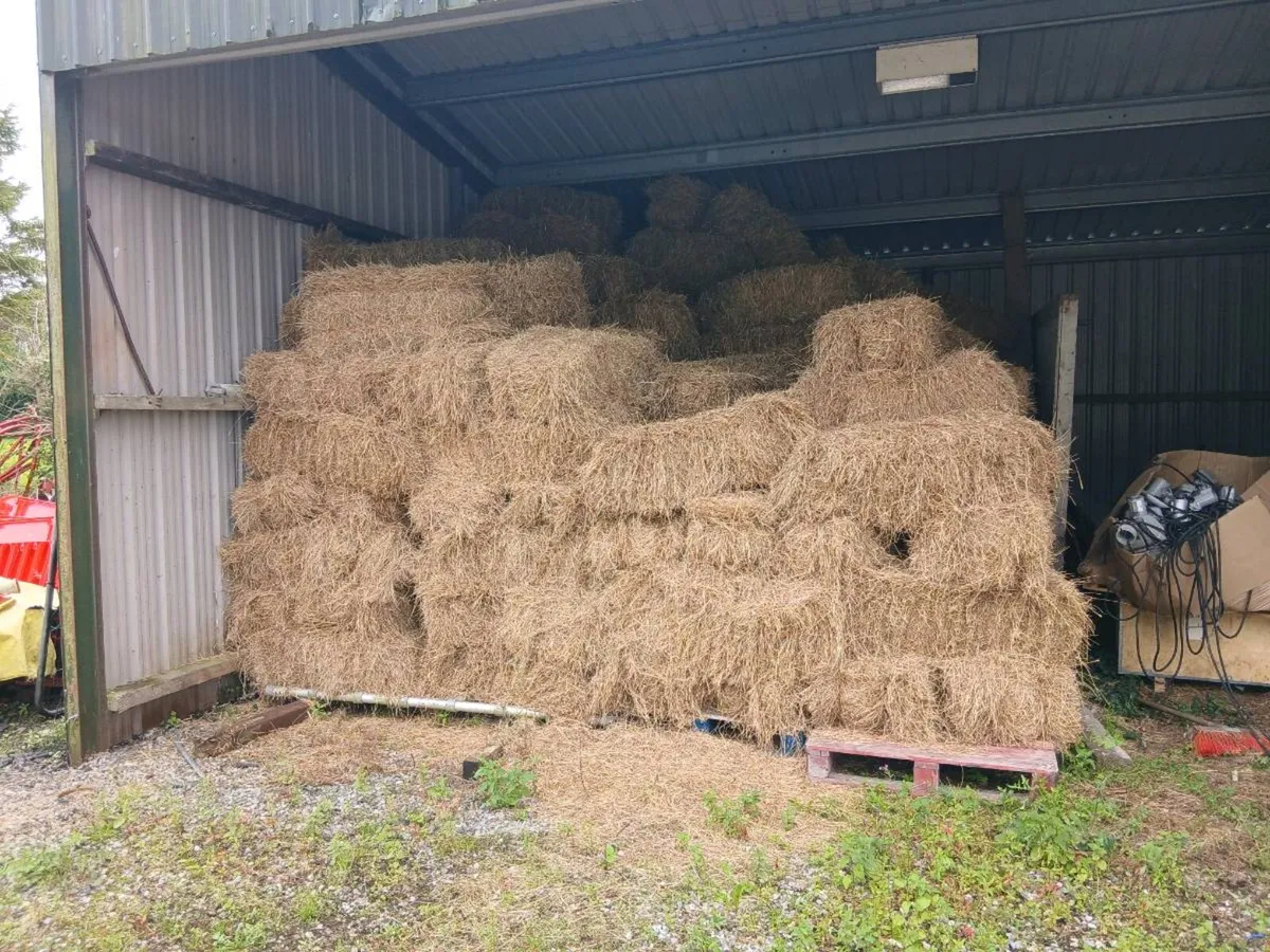 Organic hay - Image 2