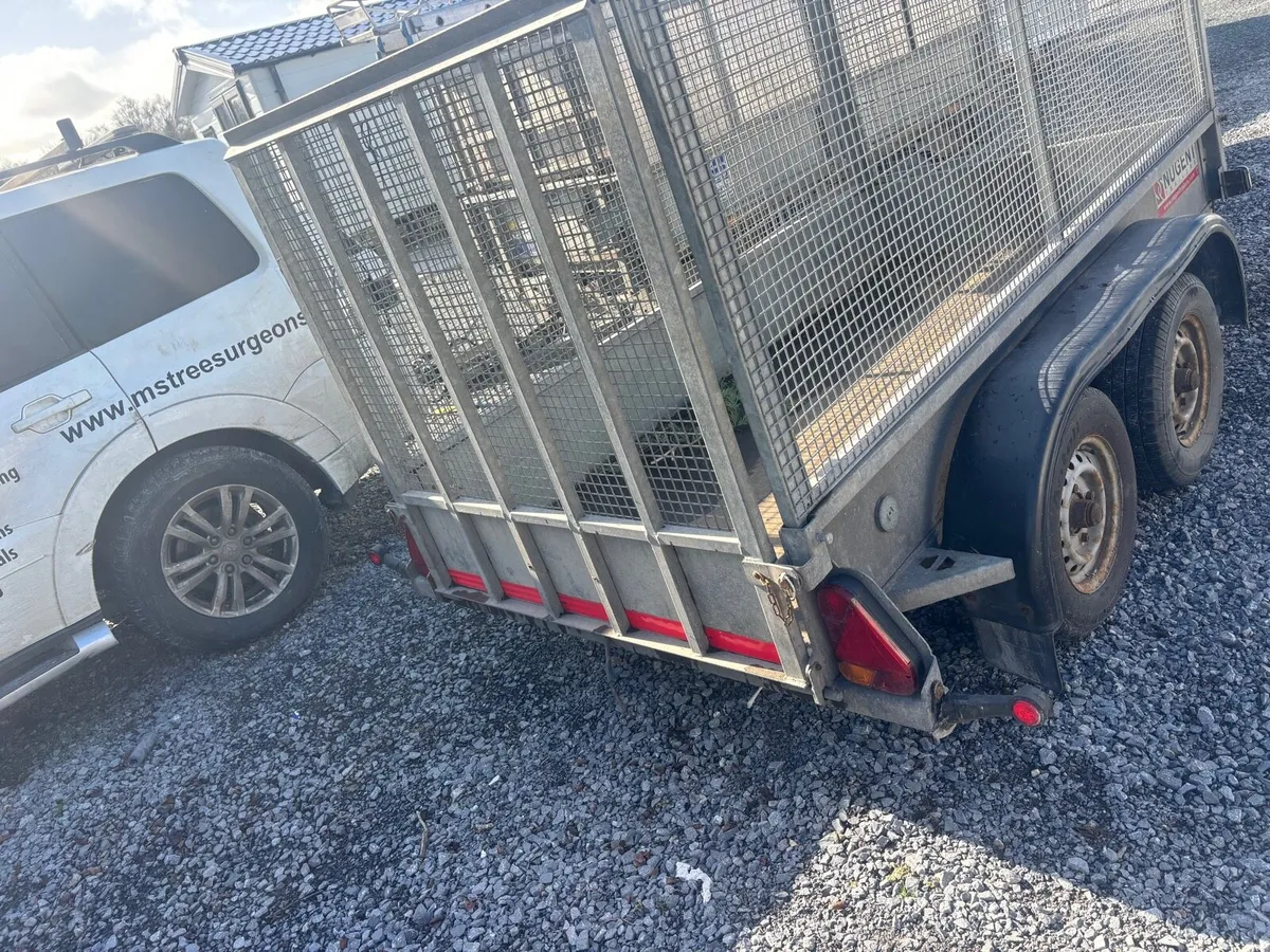 8 by 4 nugent trailer - Image 2