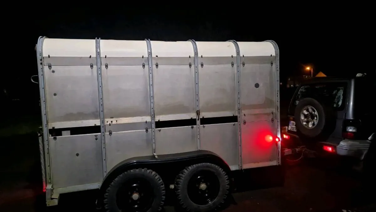 Ifor williams Ta5g-10 - Image 2