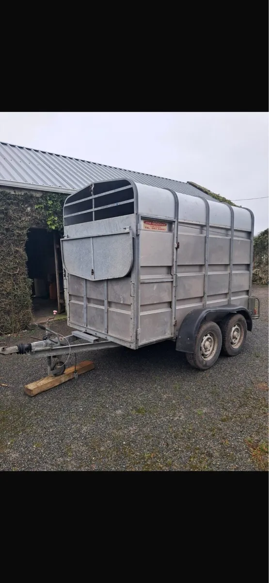 Aerlite 8x5 Cattle Trailer - Image 1