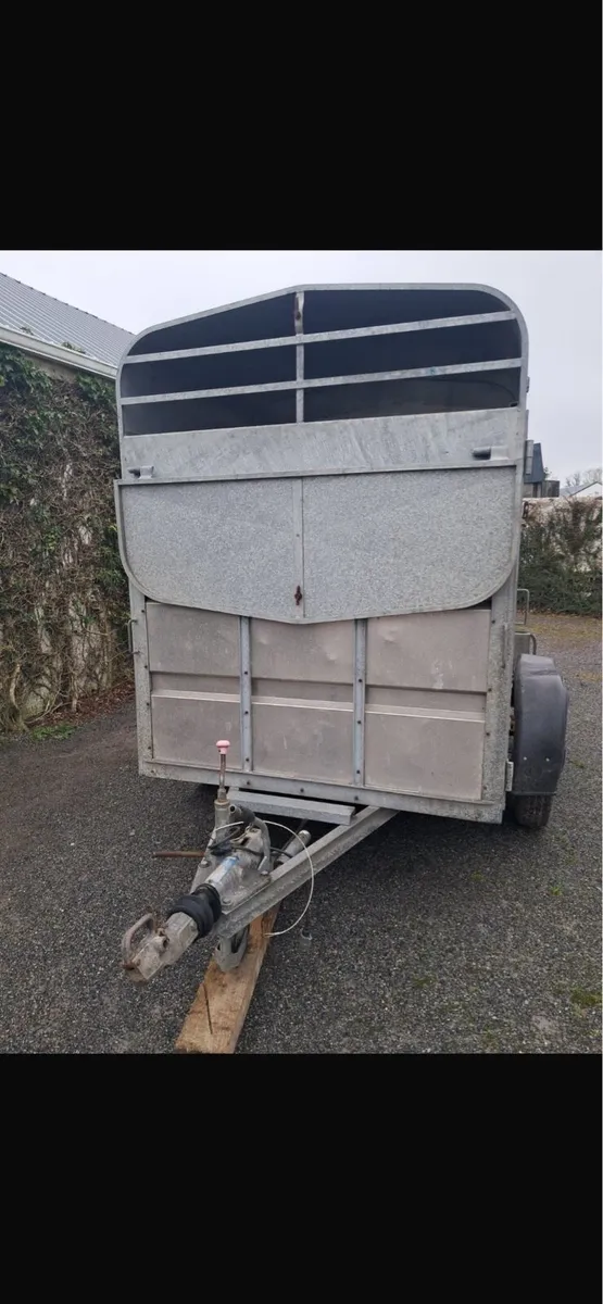 Aerlite 8x5 Cattle Trailer - Image 2