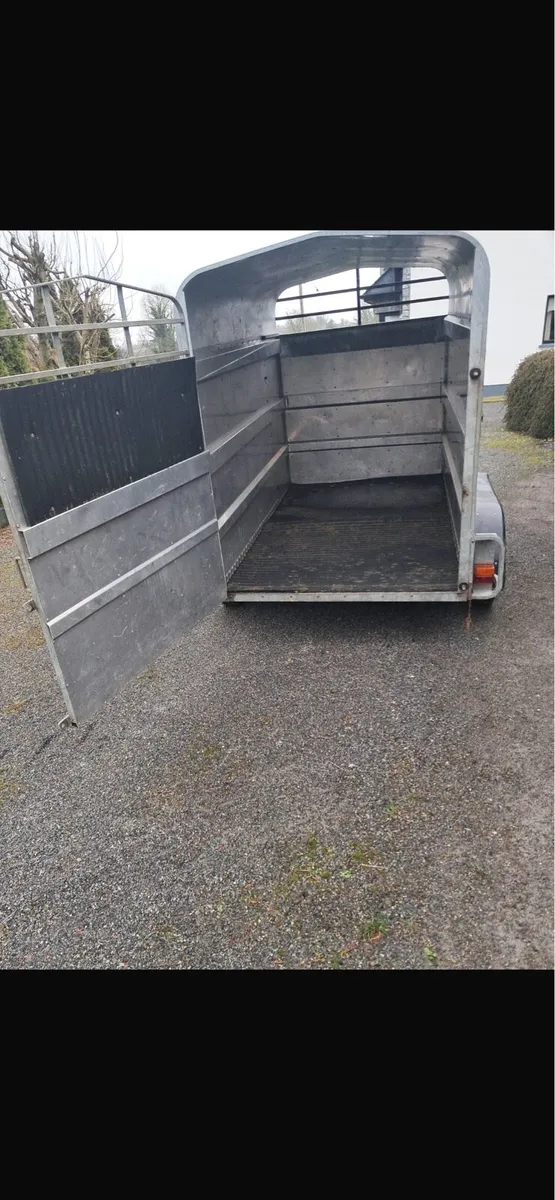Aerlite 8x5 Cattle Trailer - Image 4
