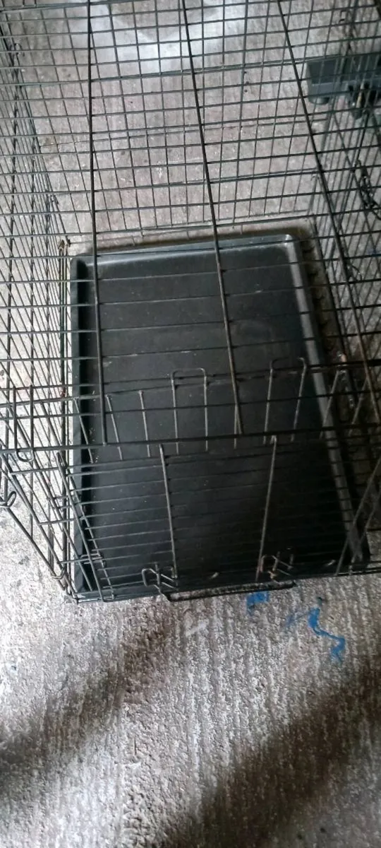 Dog cat crate small medium - Image 2