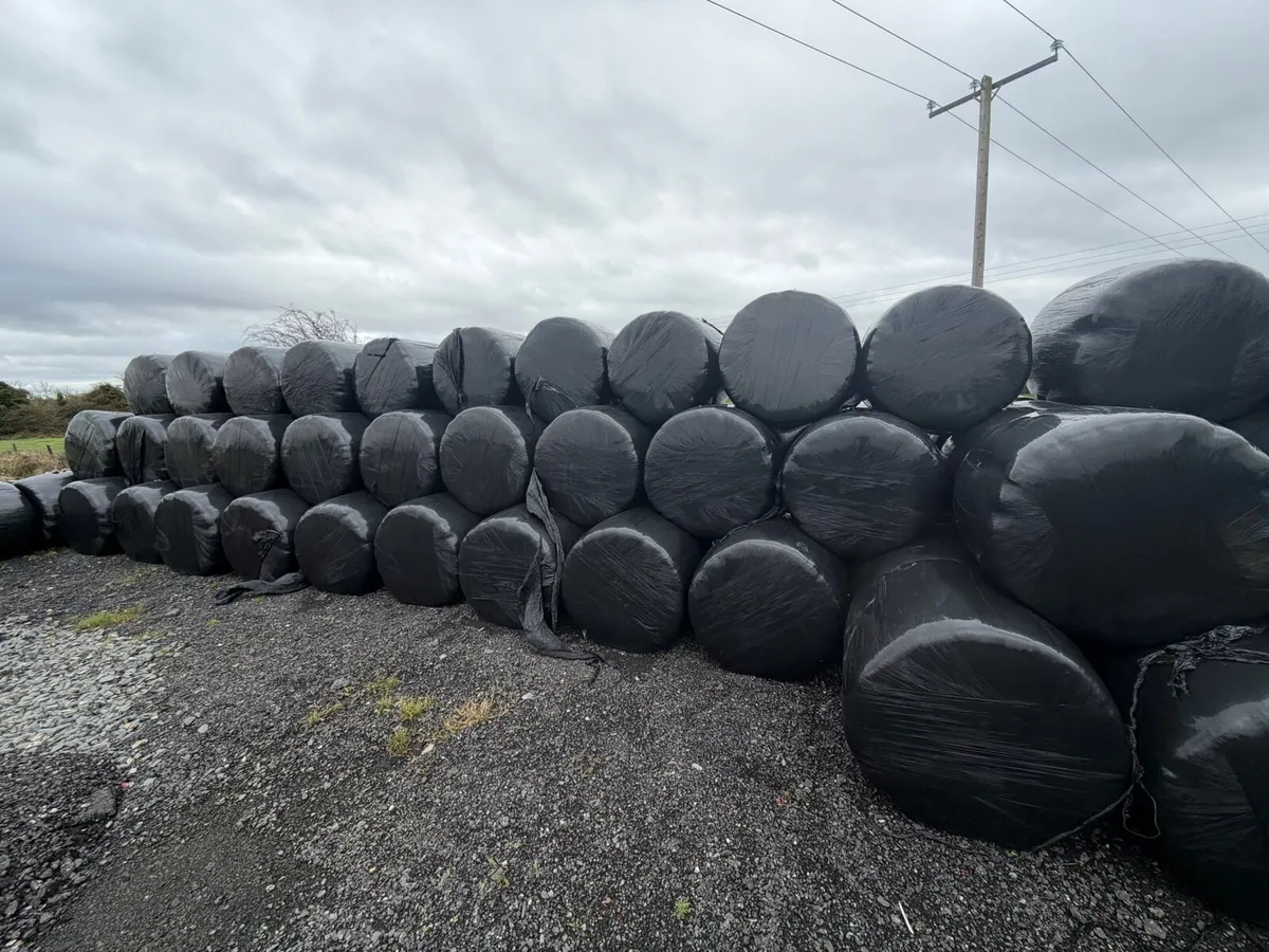 Haylage - 1st crop - Image 1