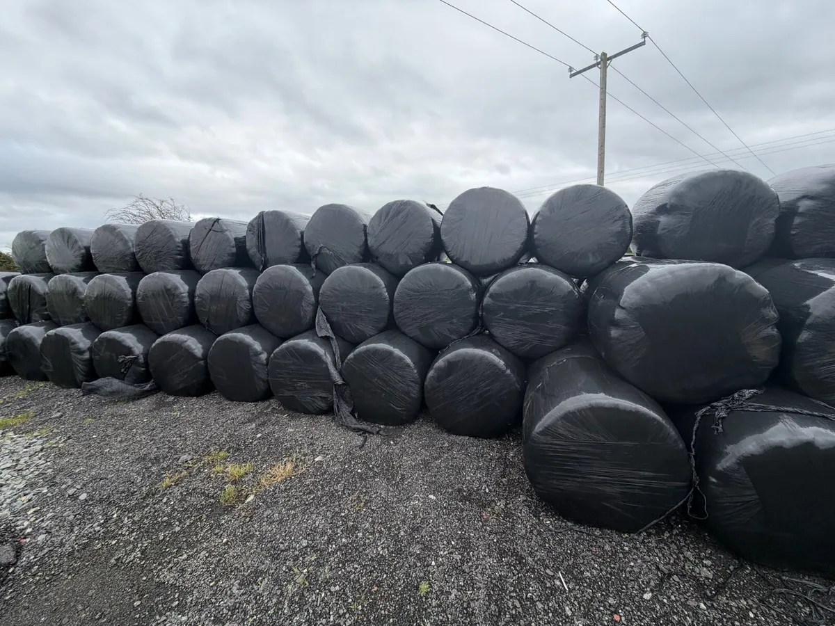 Haylage - 1st crop - Image 2