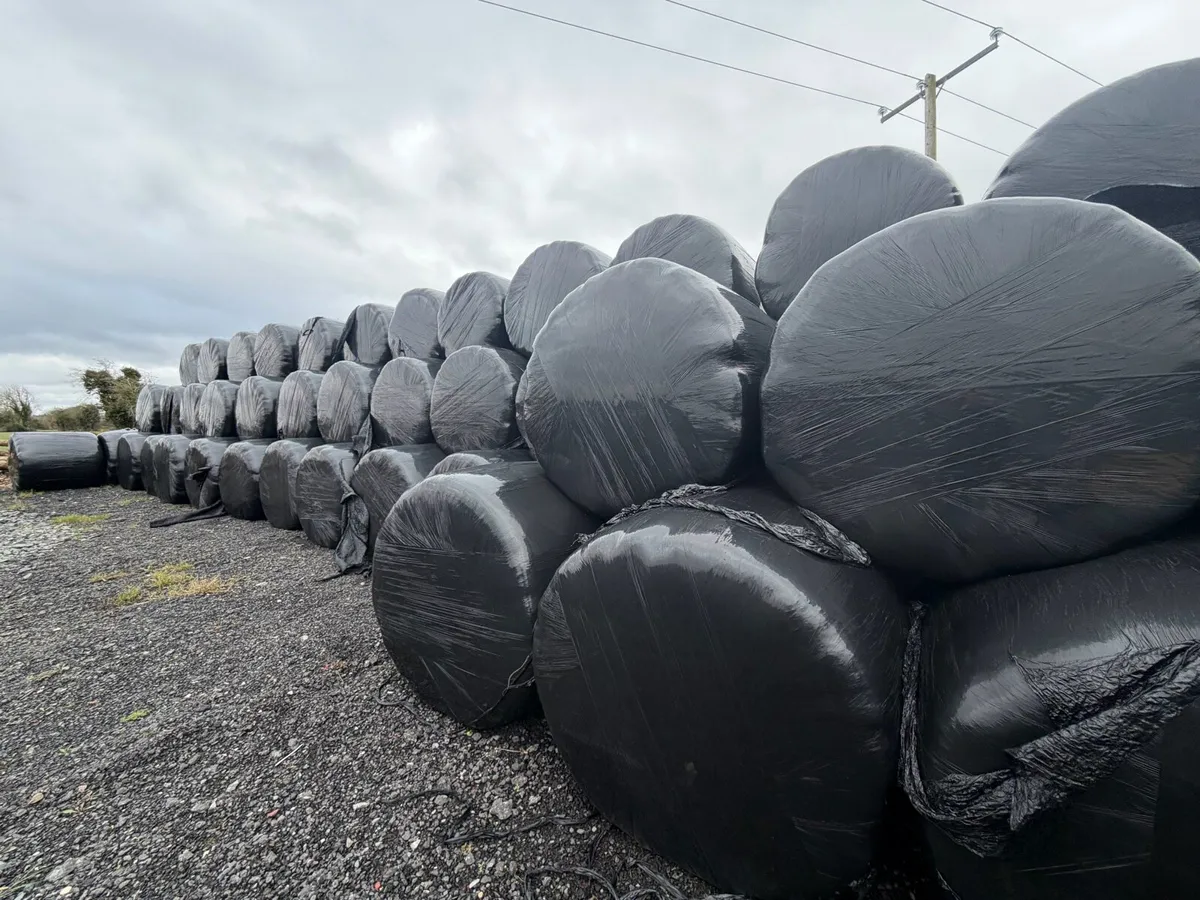 Haylage - 1st crop - Image 3